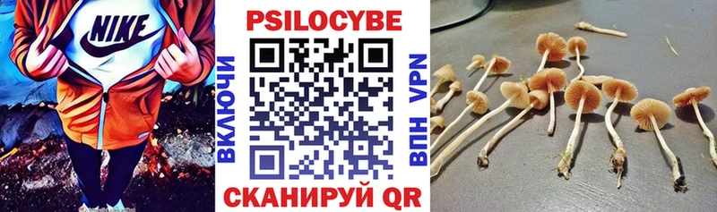 гидра сайт Туапсе Псилоцибиновые грибы Magic Shrooms хочу наркоту